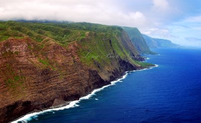 Moloha'i Cliff, Hawaii 035