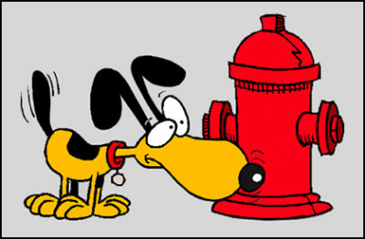 dog_sniffing_hydrant.jpg