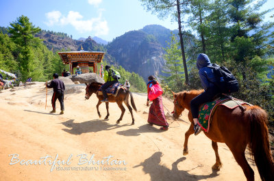 Riding Horses to TaktshangGoemba