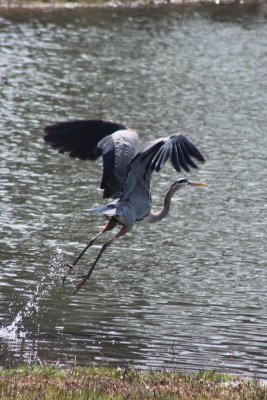 Take off