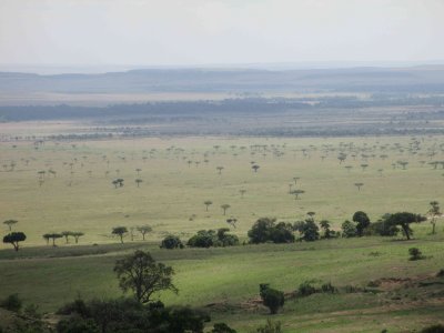 Masai Mara, from the Oloololo Gate-c2893