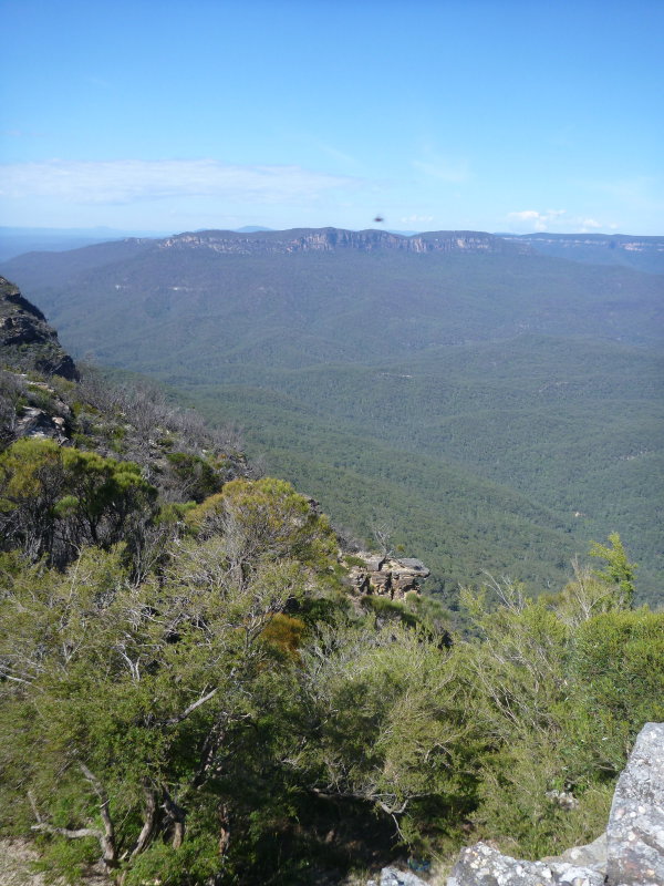 P1100343.JPG