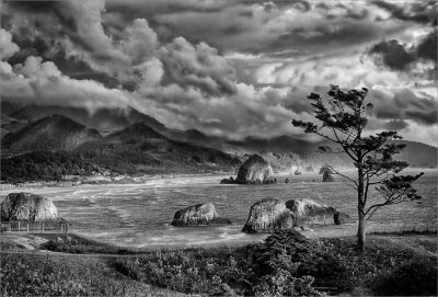 Cannon Beach 6-13 mono