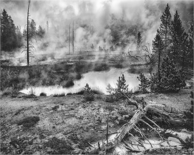 Artists Paintpots Morning 3