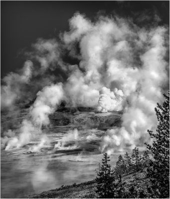 Norris Geyser Basin 5