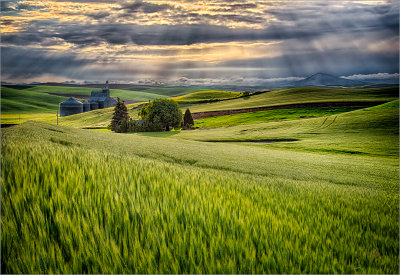 Wheat and Granary