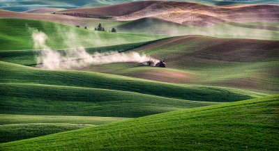 Fertilizing The Field