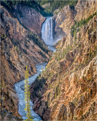 Yellowstone Falls 10-15