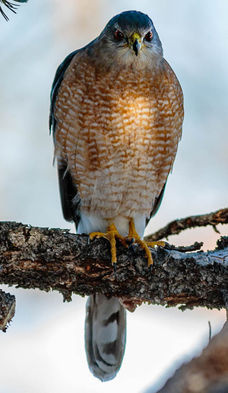 You Looking at Me?