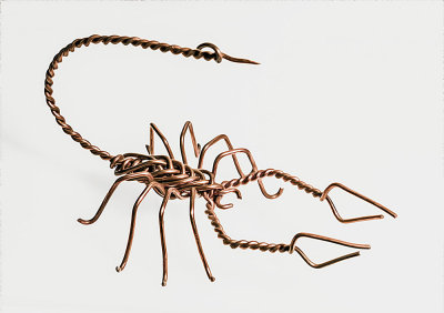 Scorpion