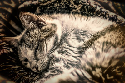 Resting