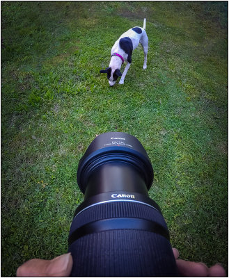 GoPro, Take A Photo!