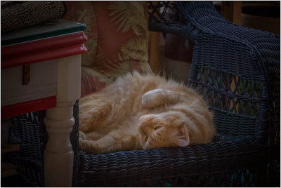 2nd - Lazy Afternoon