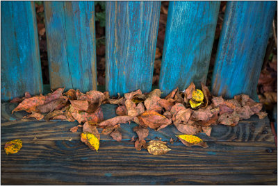 Fall Patterns