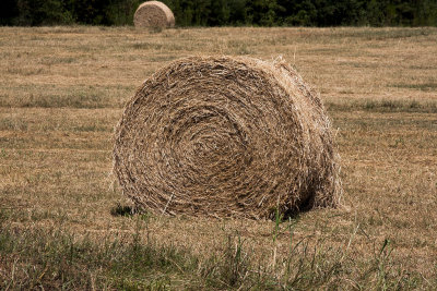 Hay... Circles