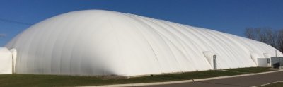 Giant White Tennis Worm