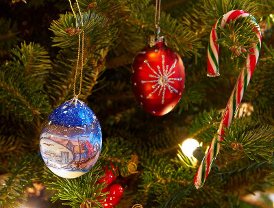 Color on the tree