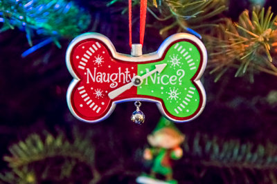 Naughty or Nice - Will Santa Come?