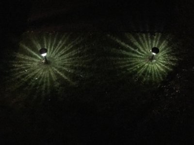 Night Light Patterns