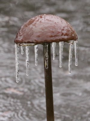 Ice Storm I