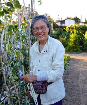 When The Long Beans Turn White-(Pick Them)...As a Labor and a Love