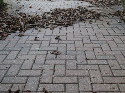 Brick Lines