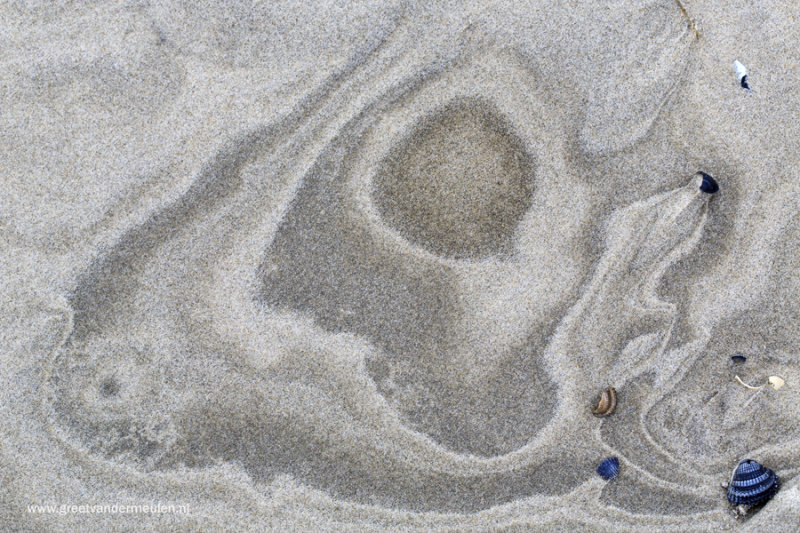 2N9B1710 portrait in sand Oost Terschelling 