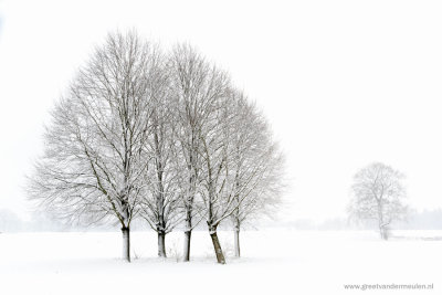 2N9B3152  winter bomen Dalfsen 