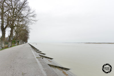 de somme 02-17-14.jpg