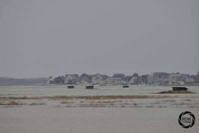 de somme 02-17-20.jpg