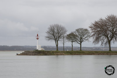 de somme 02-17-22.jpg