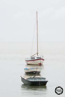 de somme 02-17-23.jpg