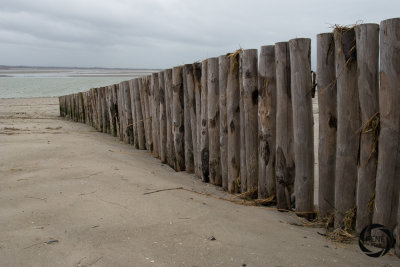 de somme 02-17-6.jpg