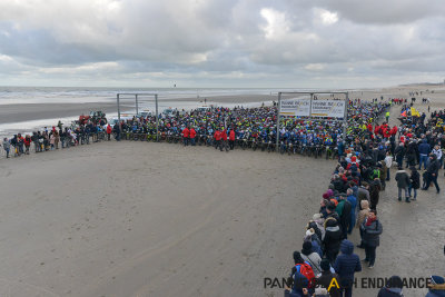 BeachEndurance-2017036.jpg