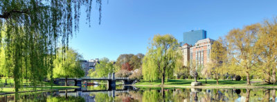 counselor-newton-wellesley.jpg