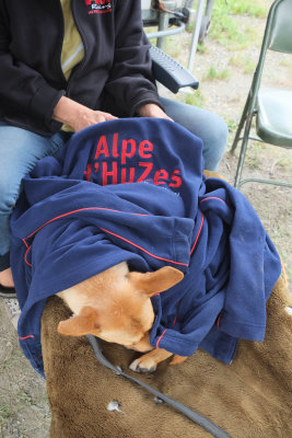 Alpe d'Huzes donderdag 7 juni
