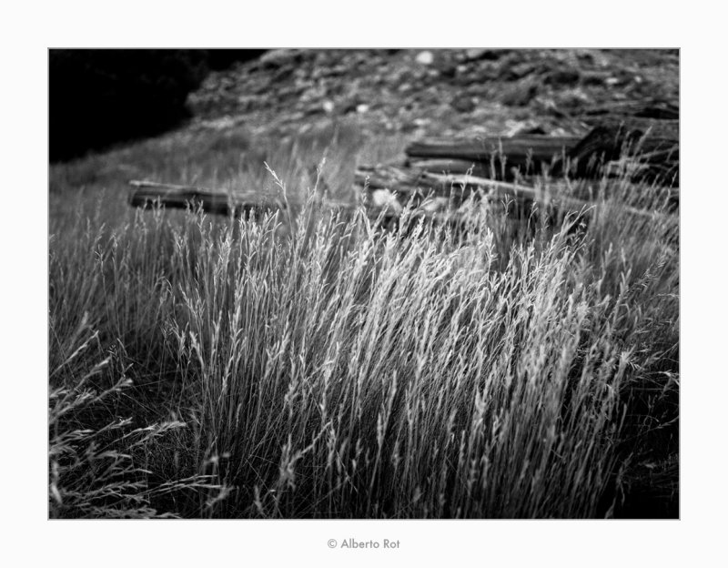 07/09/2017  Herbes