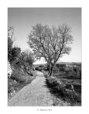 04/04/2017 · Rossell, arbres al costat del camí