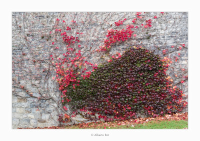 20/10/2017  Pared - Orreaga/Roncesvalles (Zangozako Merindadea) - Nafarroa