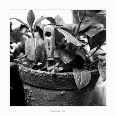 10/05/2018 · 40 mm