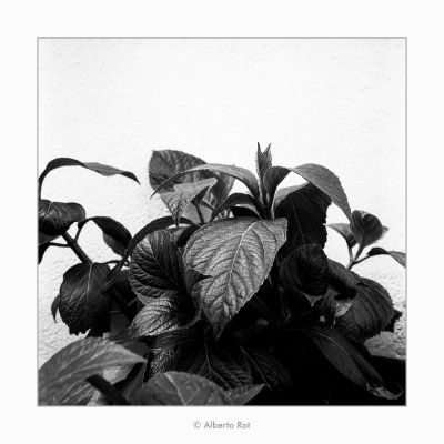 12/05/2018 · Fulles