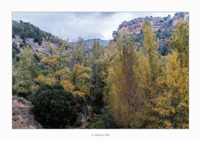 14/10/2018 · El Cervol al seu pas per Vallibona (Els Ports)