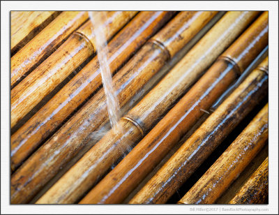 Water and Bamboo