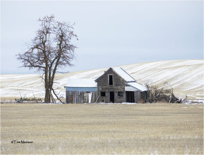 abandoned  farm house 