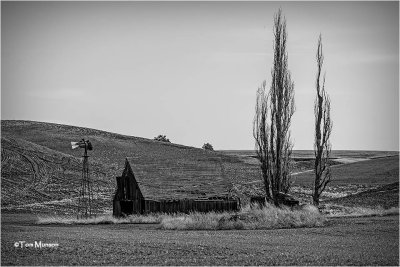 Old Barn