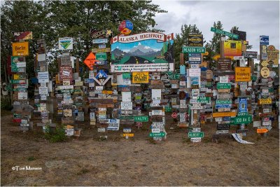Sign Post Forest