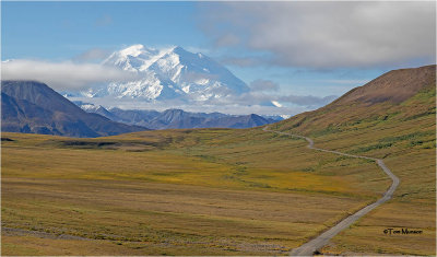Denali  elevation 20,310 feet ( they say only 30% get to see it in clear skies, we were lucky)