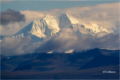  Denali Highway 