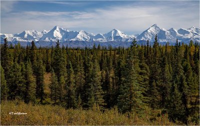 Denali Park