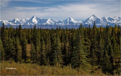  Denali Park 